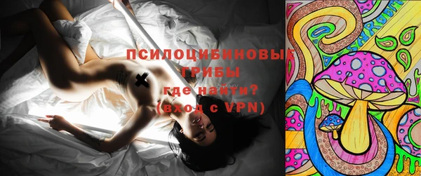 ALPHA-PVP Богородицк