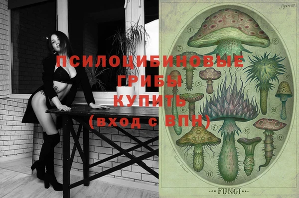 ALPHA-PVP Богородицк